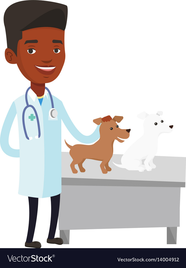 Afrikanische Tierarztuntersuchung Hunde