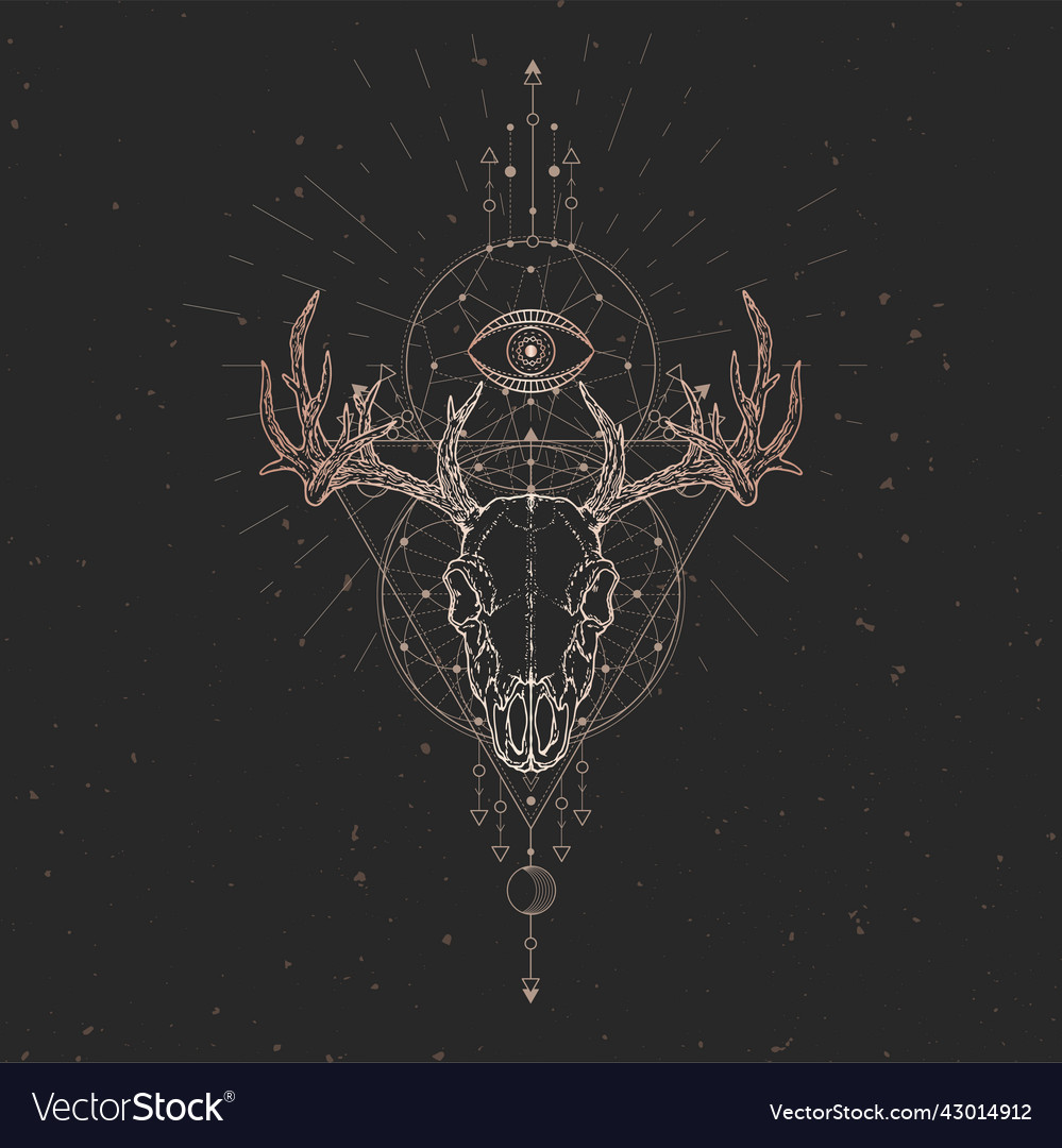 Deer Skull Royalty Free Vector Image - Vectorstock