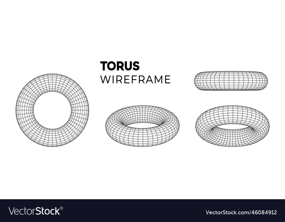 Wireframe Torus Grid Structure