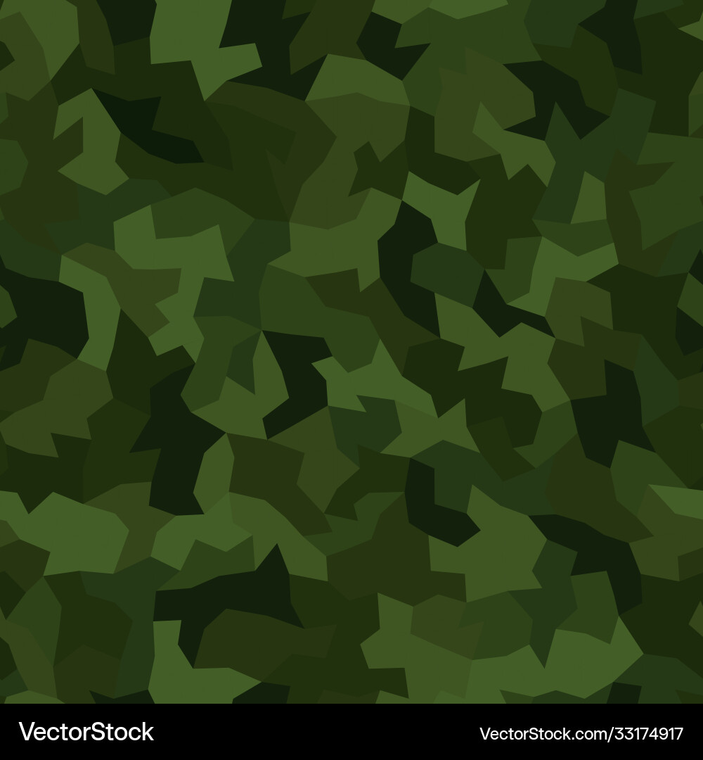 Abstract seamless pattern camouflage Royalty Free Vector