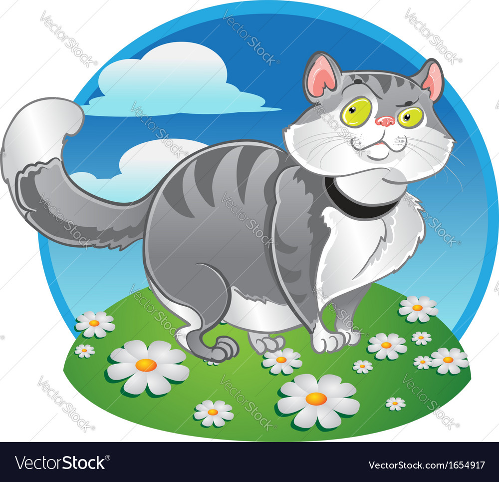 Grey fat cat on the color background