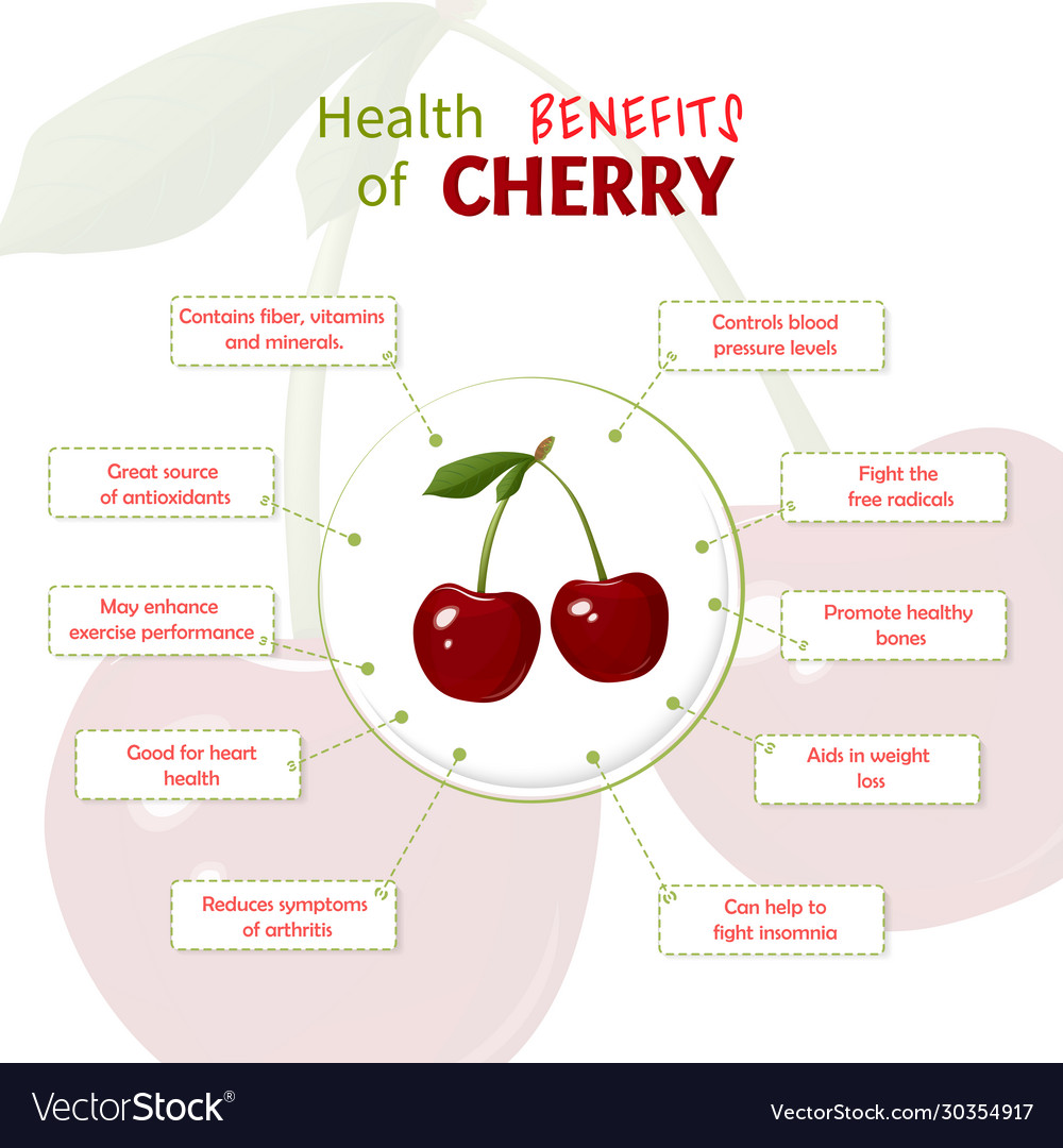 Health benefits cherry cherries nutrients Vector Image