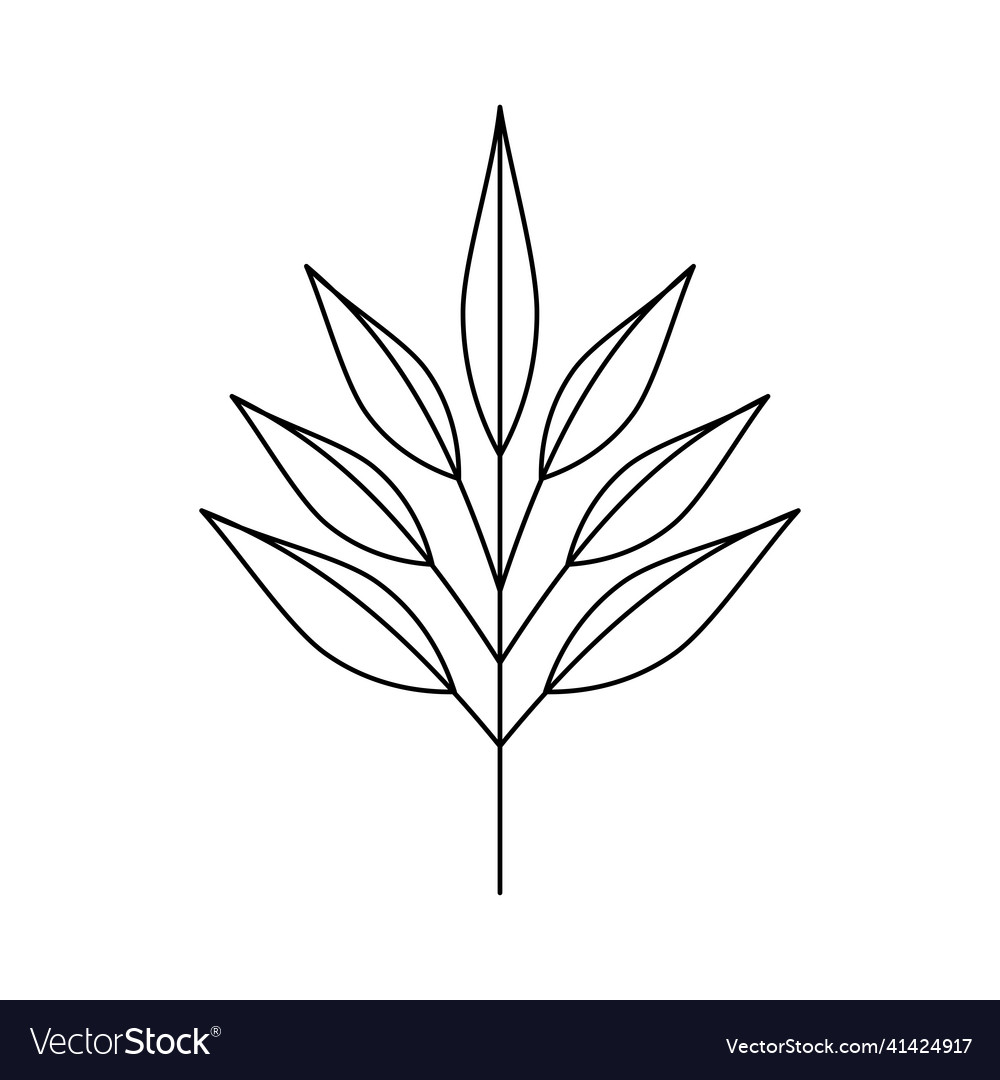 Laurel branch with leafs Royalty Free Vector Image