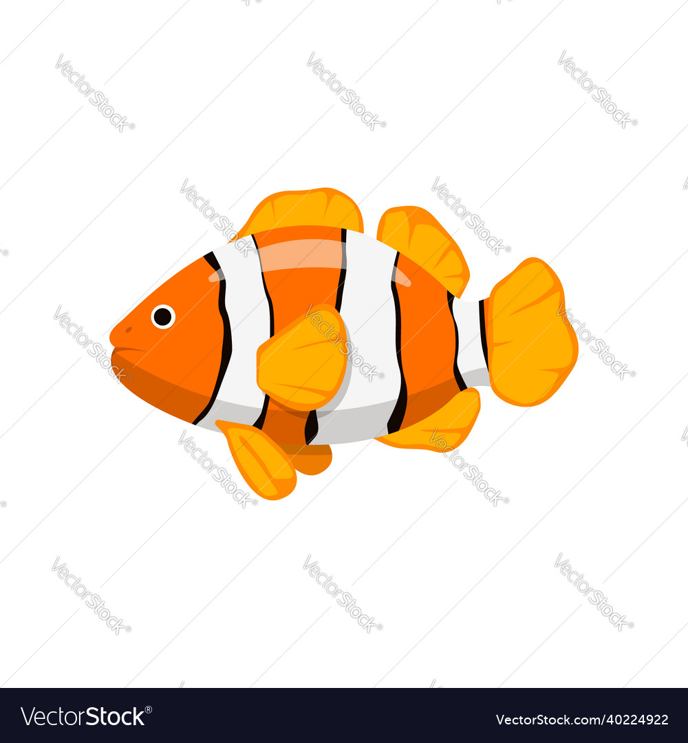 Clown fish in cartoon style