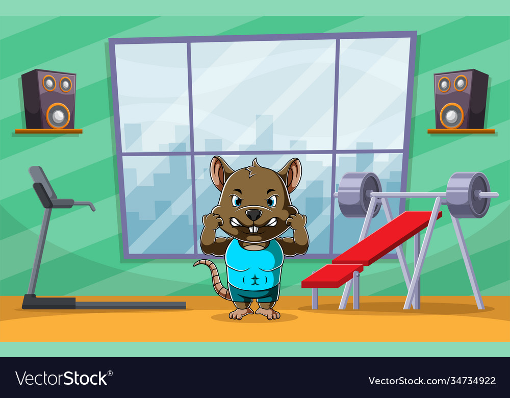 Gym rat Stock Photos, Royalty Free Gym rat Images