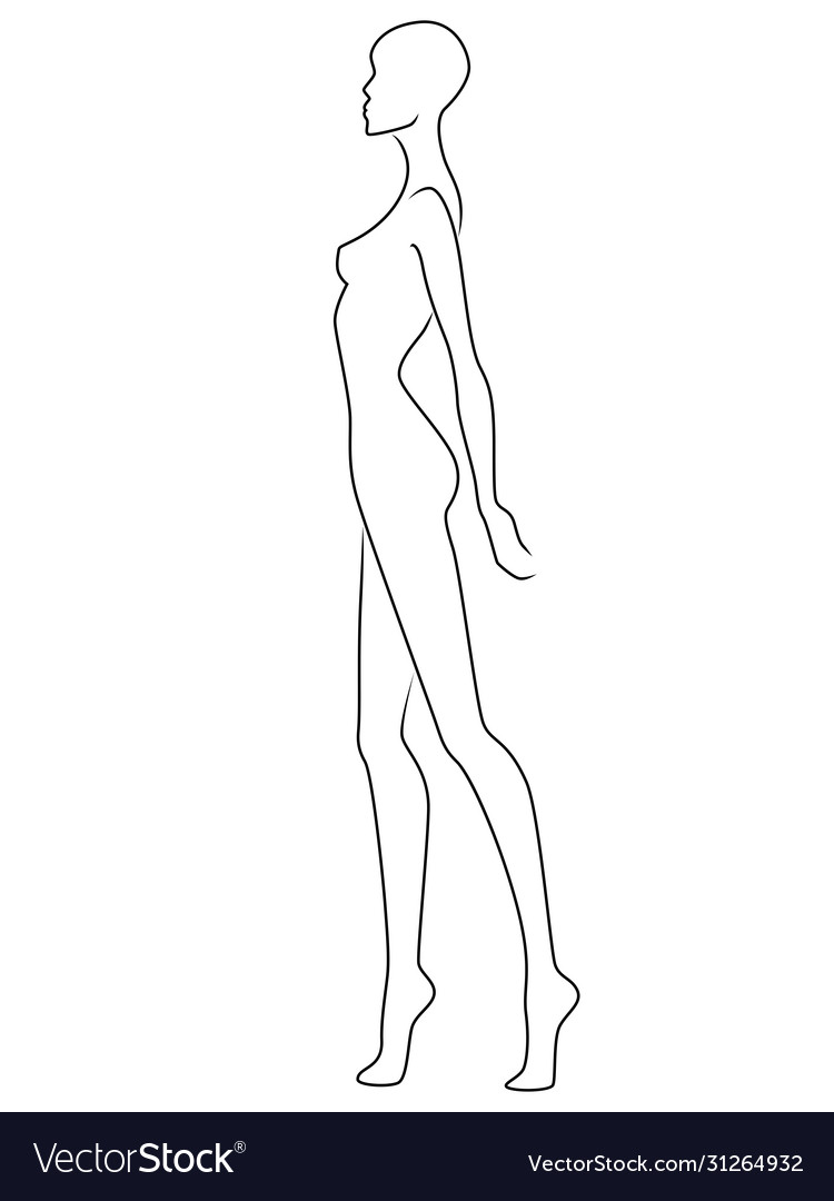 Abstract contour woman