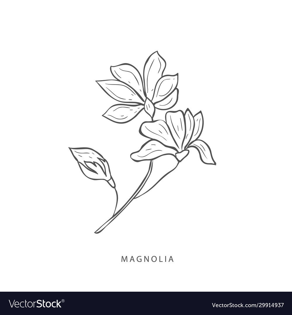 Greenery design elements botanical logos