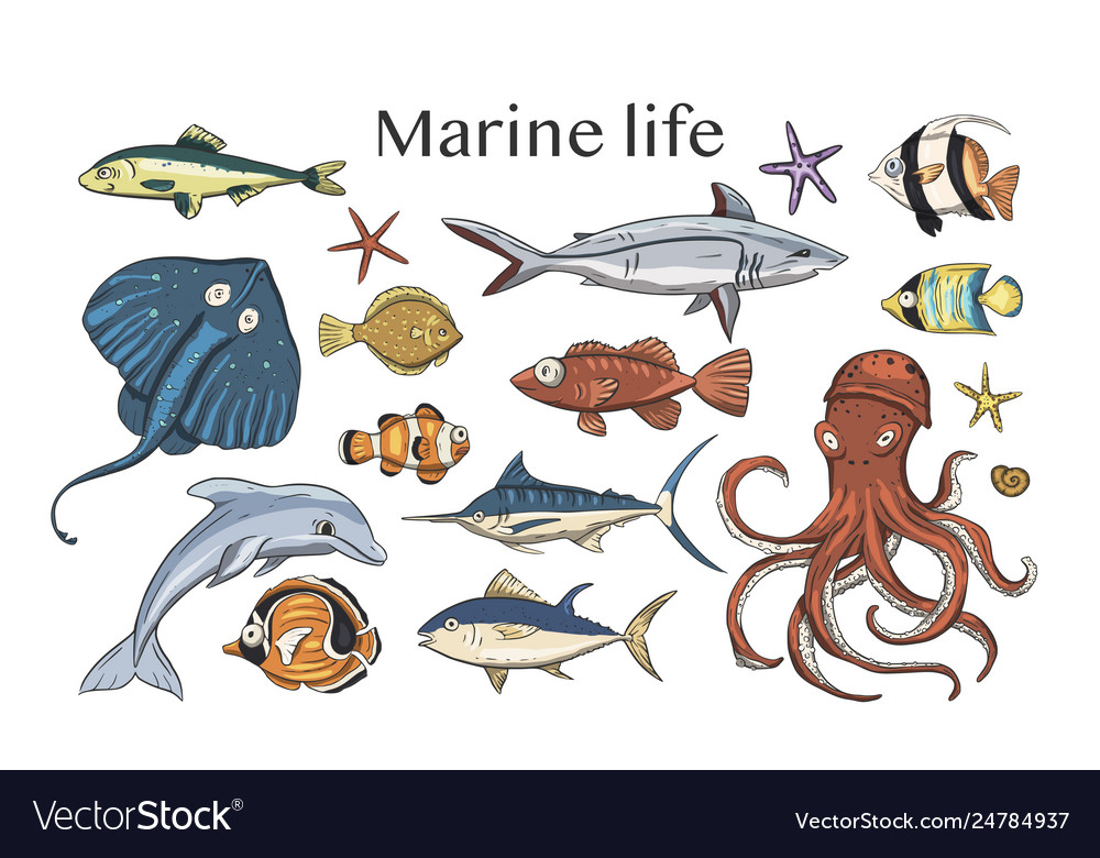 Set with underwater animals Royalty Free Vector Image