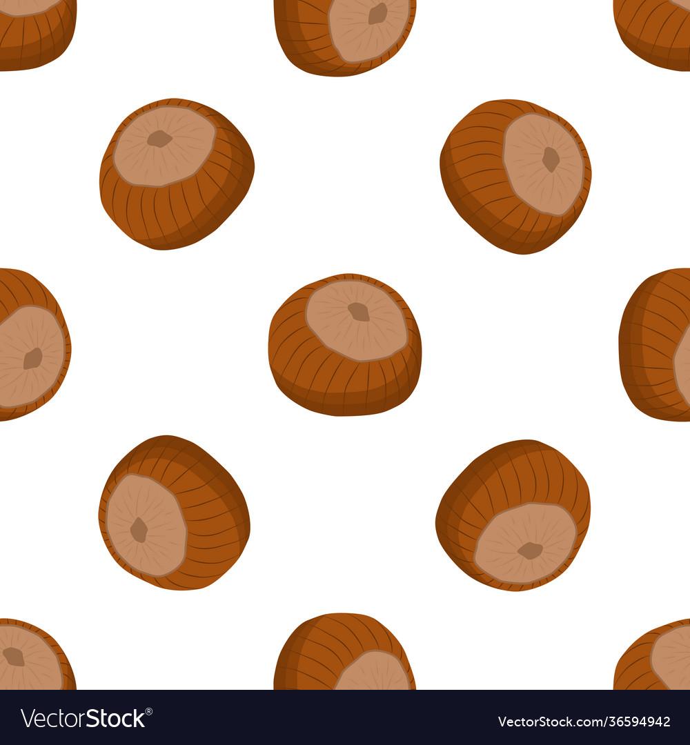 On theme big pattern identical types hazelnut vector image On theme big pattern identical types hazelnut