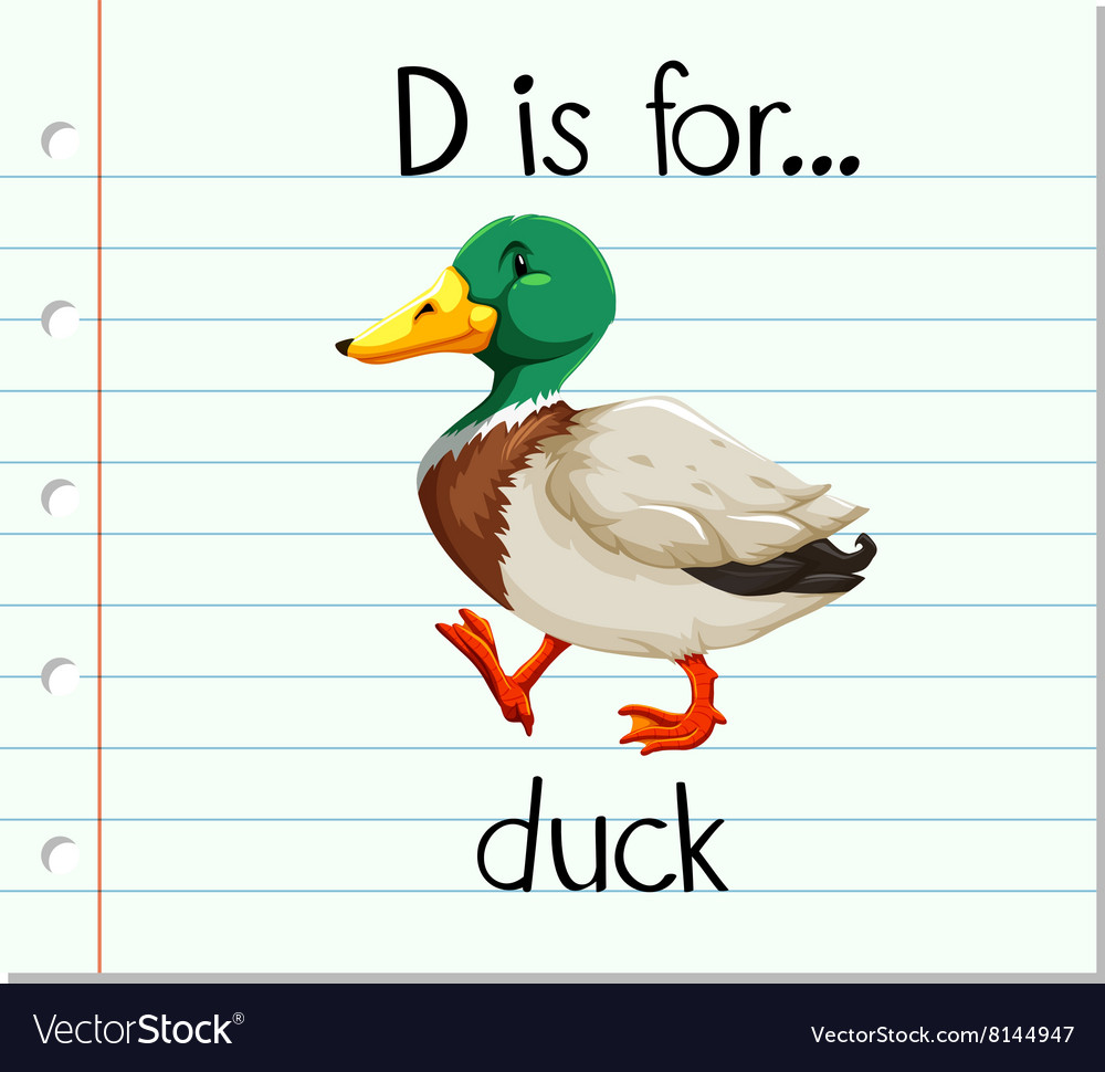 Flashcard letter d is for duck Royalty Free Vector Image