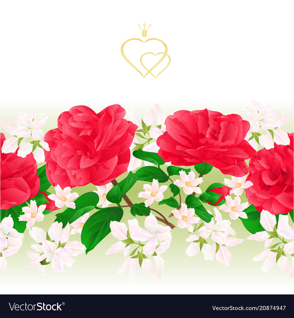 Floral border seamless background with flowers Vector Image