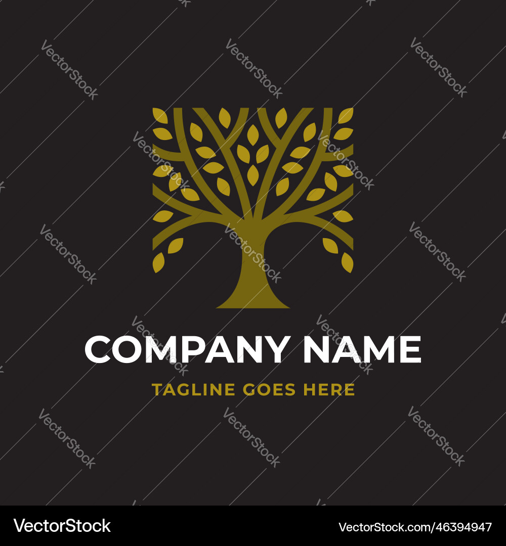 Olive tree square logo Royalty Free Vector Image