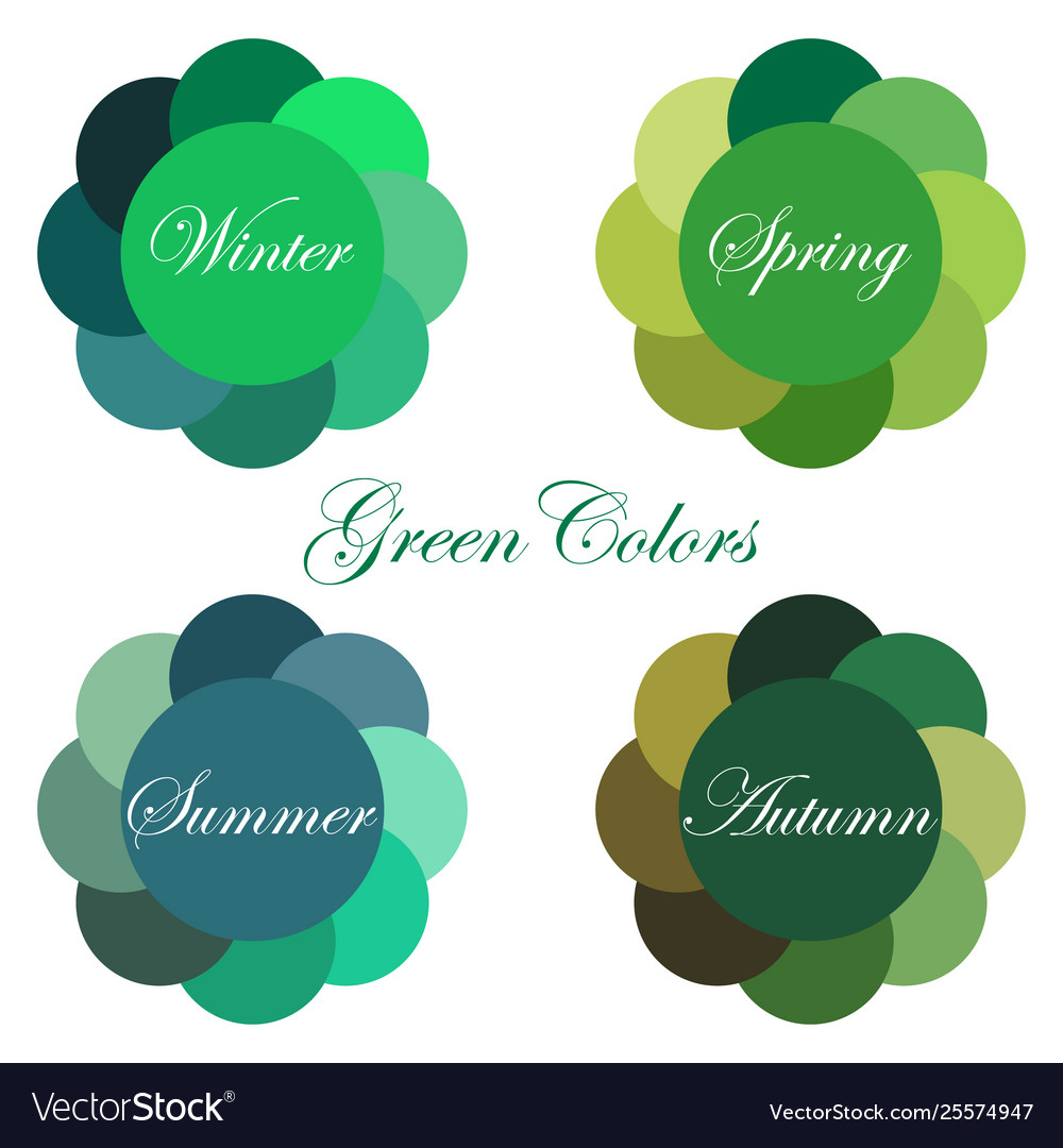 Seasonal color analysis palettes Royalty Free Vector Image