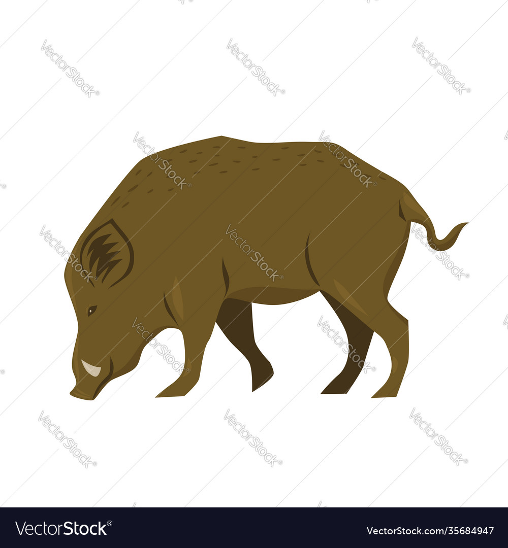 Wildschwein isoliert auf weißem Hintergrund Grafik vector image Wildschwein isoliert auf weißem Hintergrund Grafik