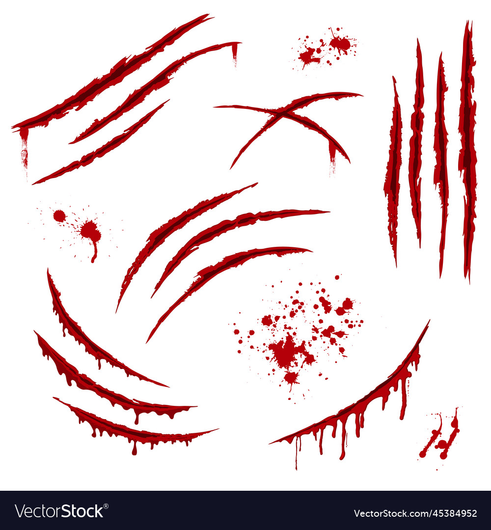 Premium Vector  Scratched claw blood wound isolated