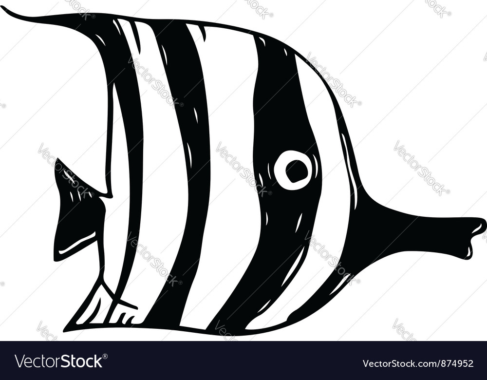 Striped fish