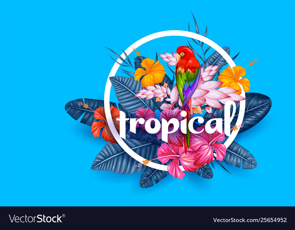 Summer Time Poster Wallpaper For Fun Party Vector Image
