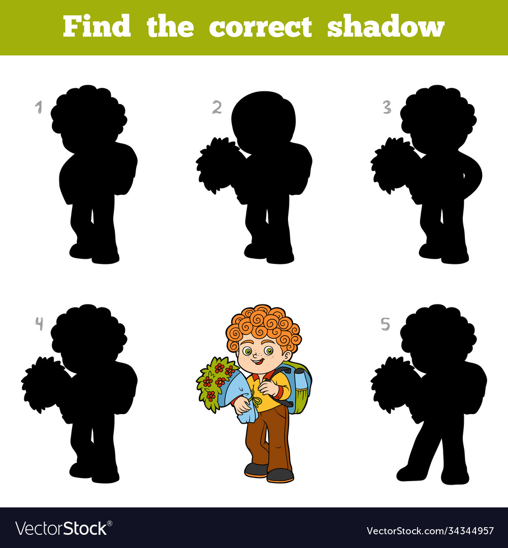 Premium Vector  Find the correct shadow find and match the