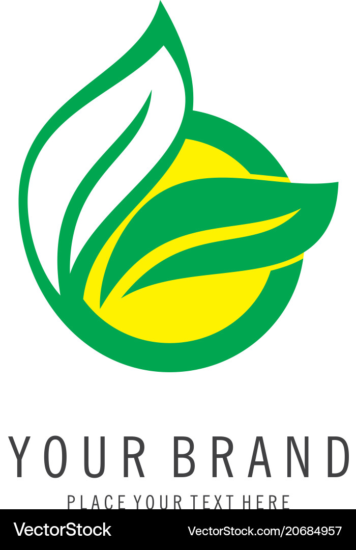 Leaf logo Royalty Free Vector Image - VectorStock