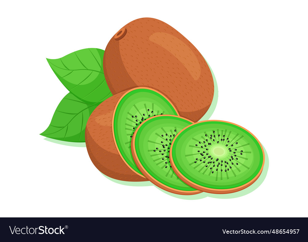 Tasty kiwi fruits cut into slices isolated