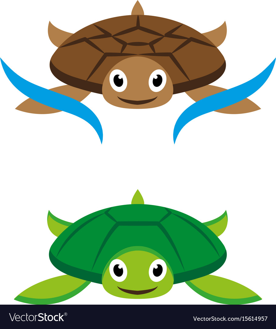 Turtles Royalty Free Vector Image - VectorStock