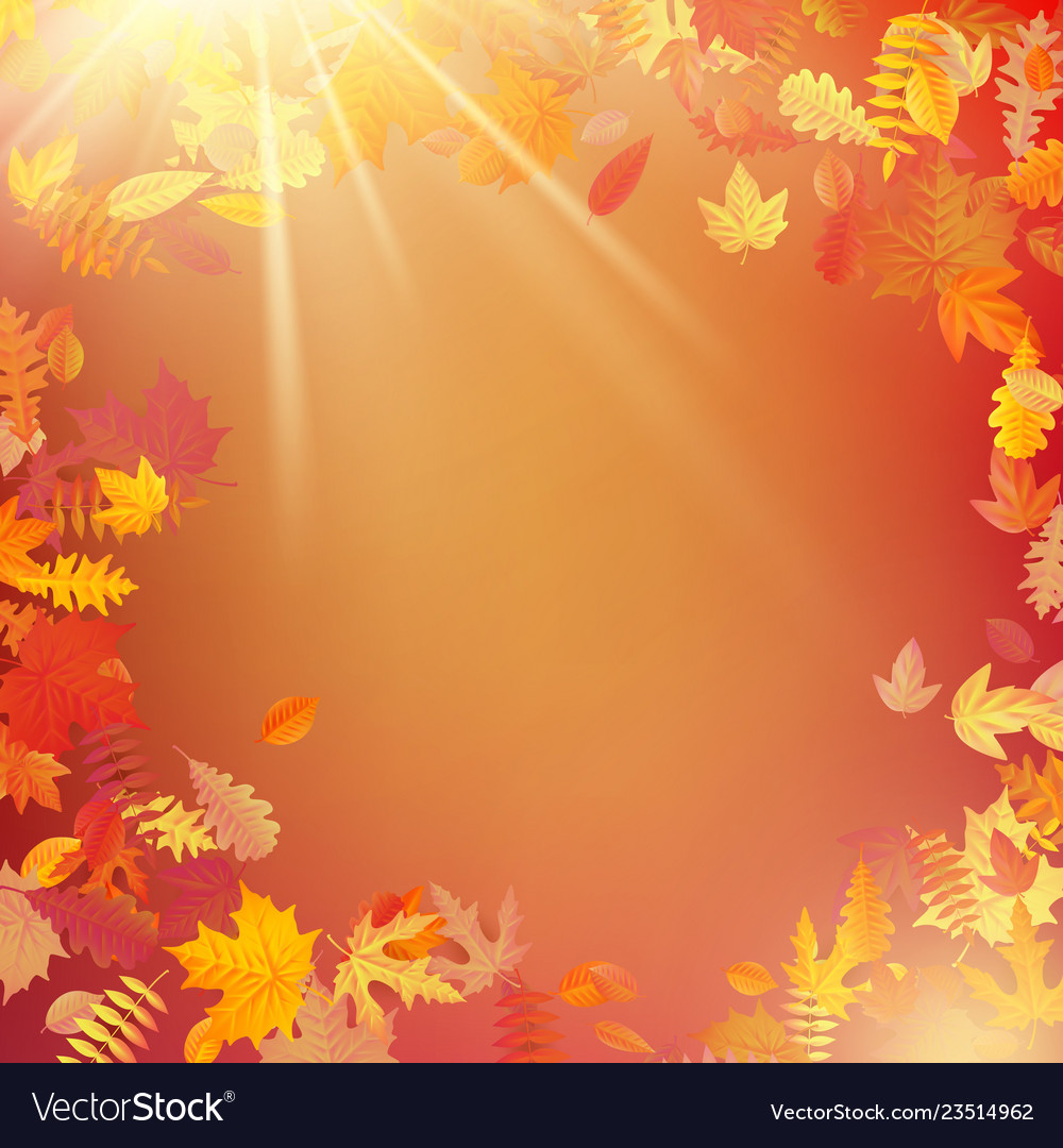 Autumn template layout decorate with leaves eps Vector Image