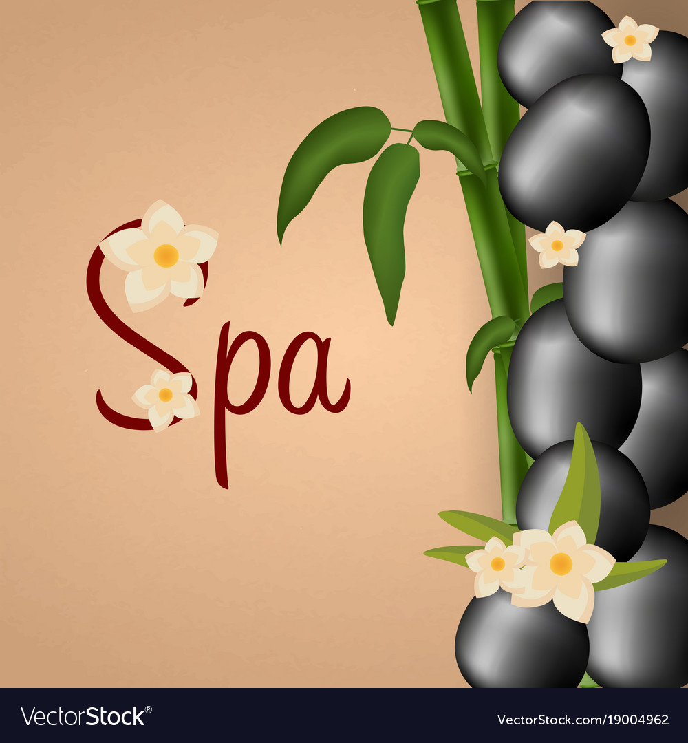 Spa salon banner with stones and bamboo thai