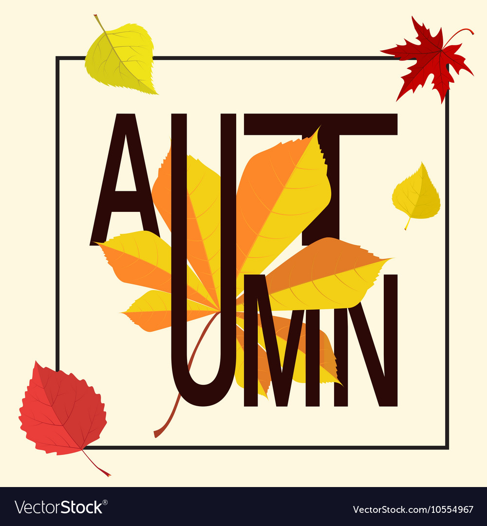 Autumn word in frame