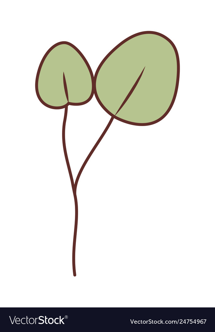 Branch with leafs isolated icon