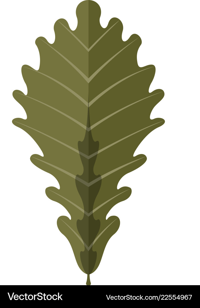 Isolated autumn leaf Royalty Free Vector Image