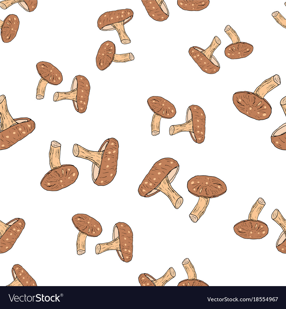 Shiitake mushroom seamless pattern Royalty Free Vector Image