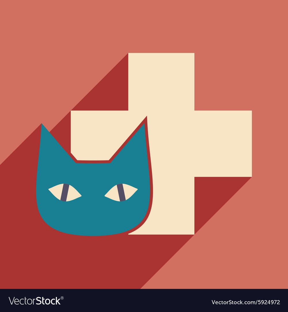 Flat with shadow icon and mobile application cat