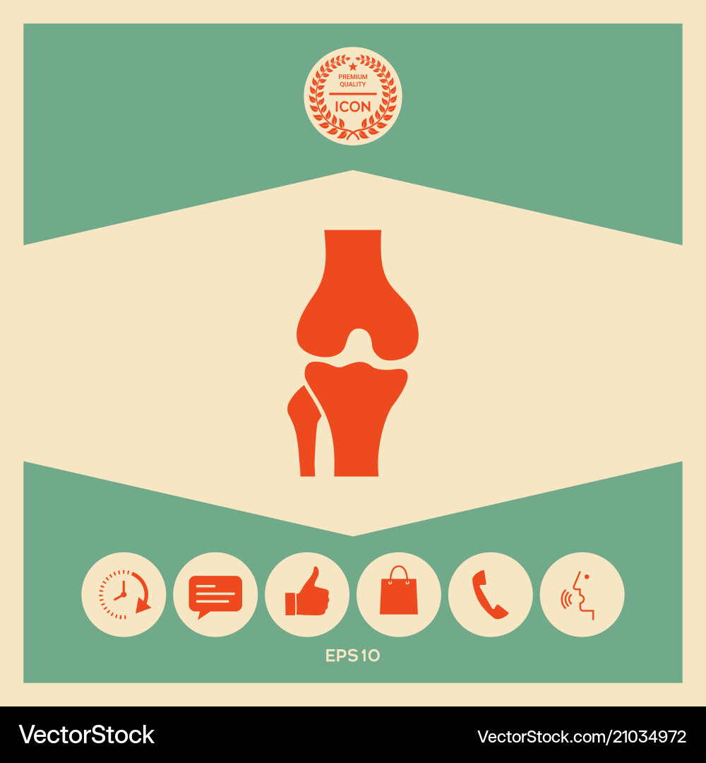 Knee joint icon Royalty Free Vector Image - VectorStock