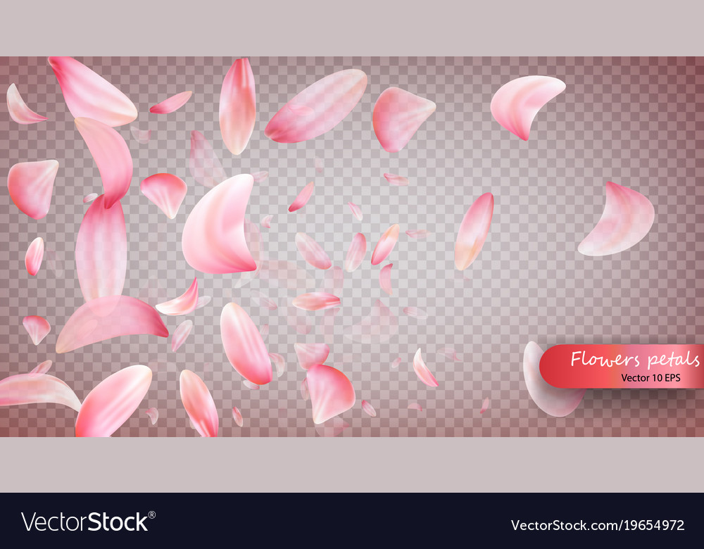 Pink sakura falling petals background