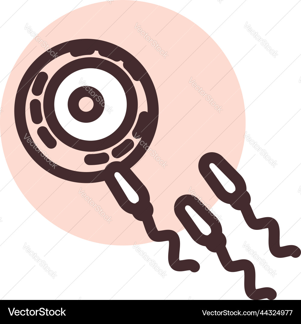 Fertilization cells on a white background Vector Image