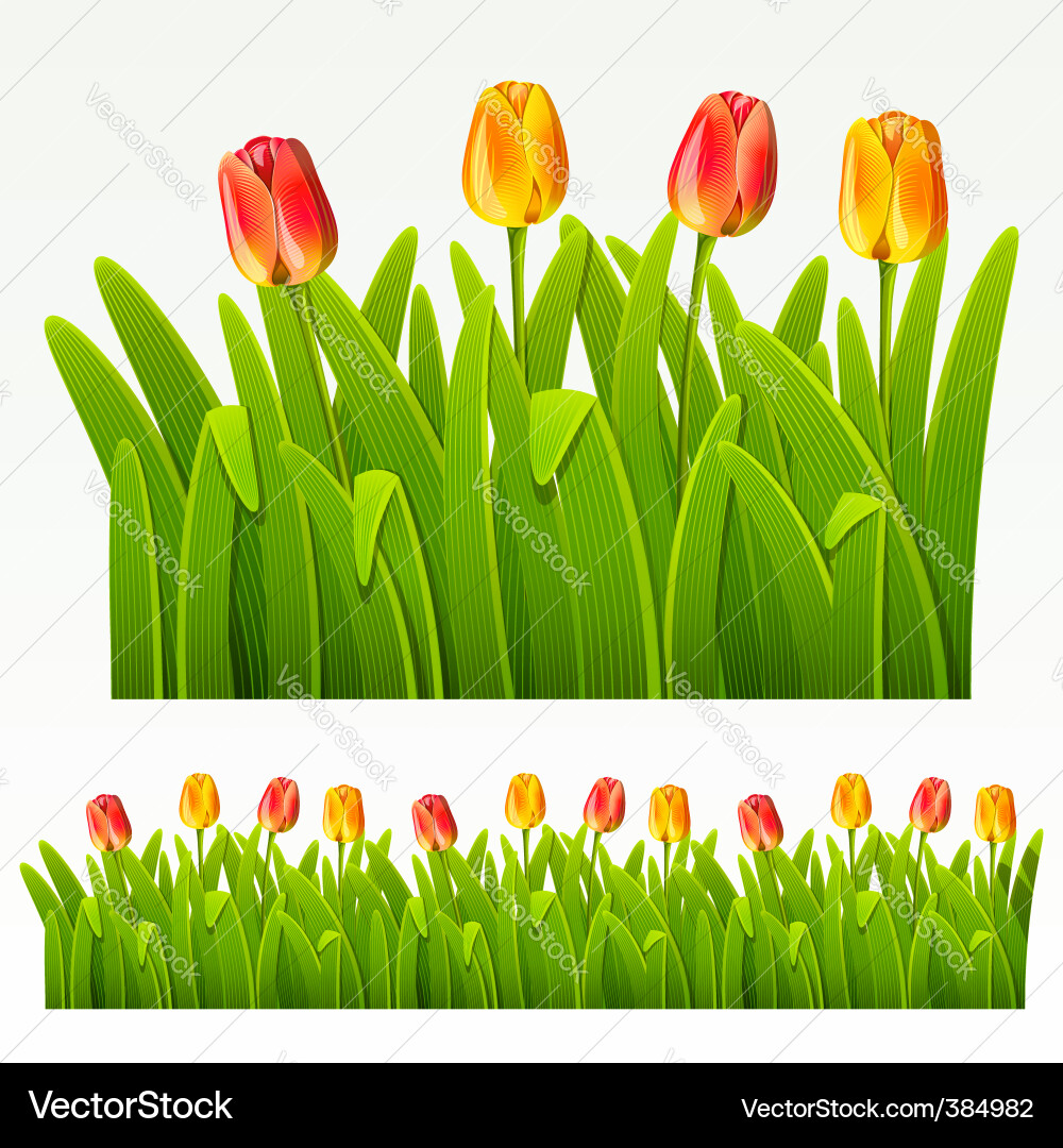 Herbaceous border Royalty Free Vector Image - VectorStock