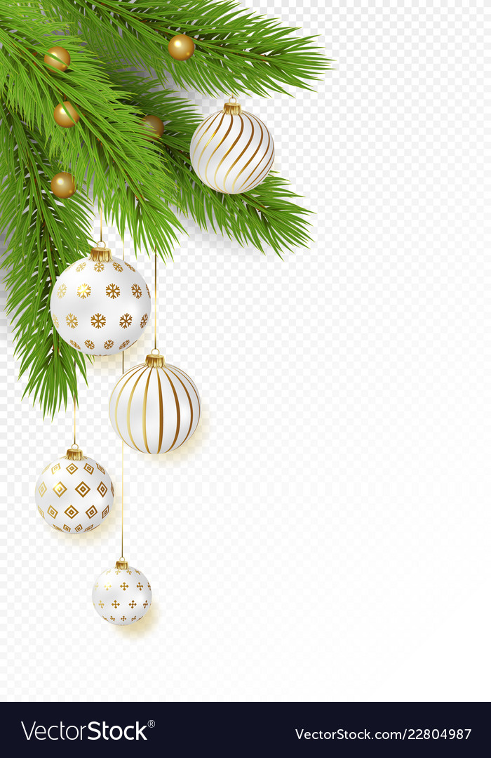 Christmas tree branches with hanging gold and Vector Image