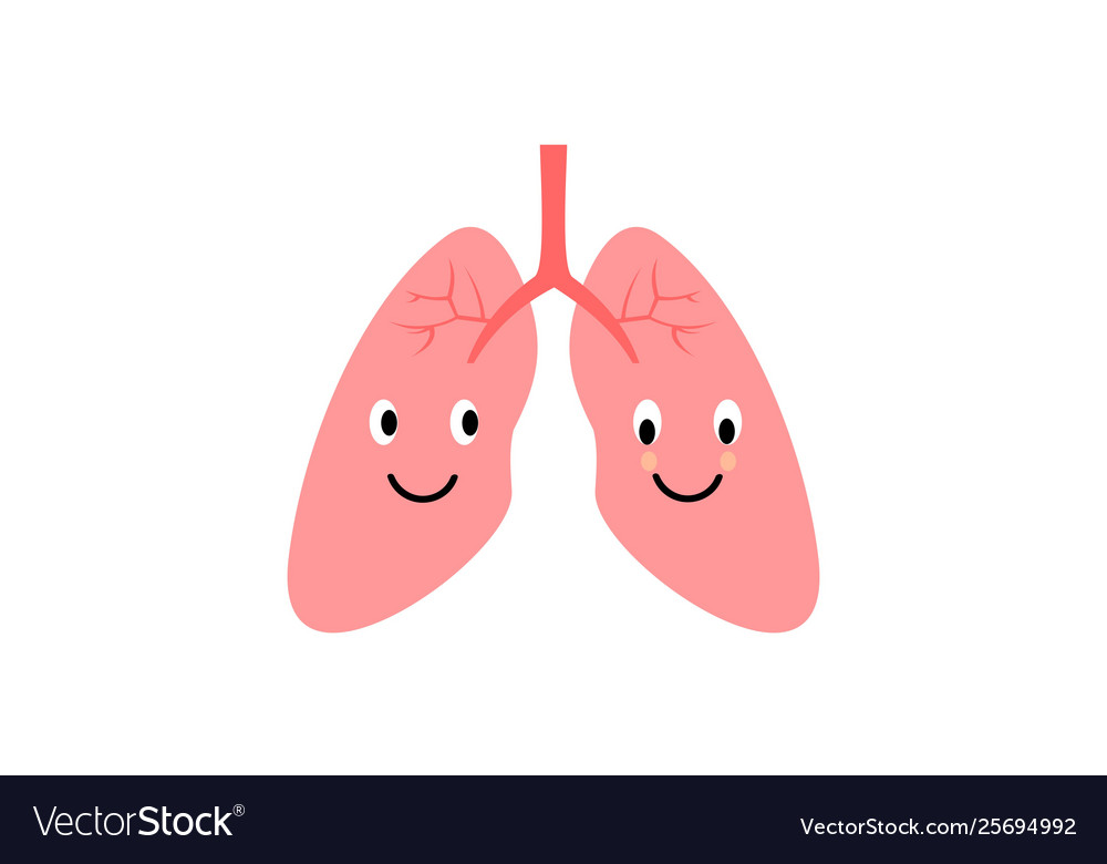 Human internal organ 5 Royalty Free Vector Image