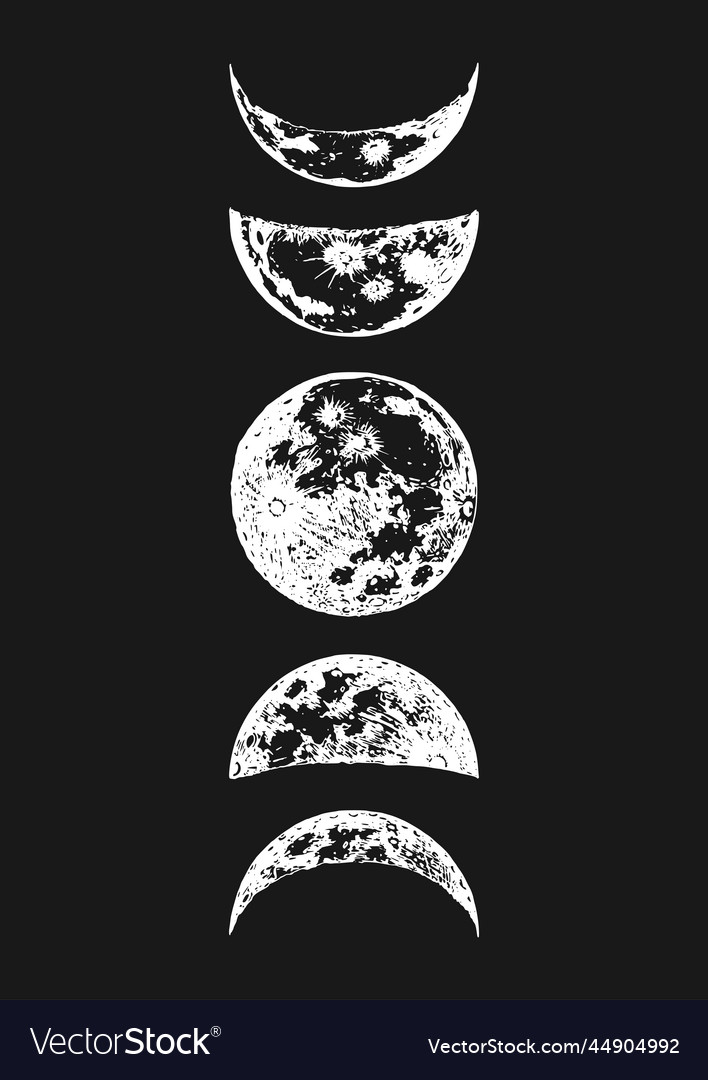 Moon phases drawings in drawn Royalty Free Vector Image