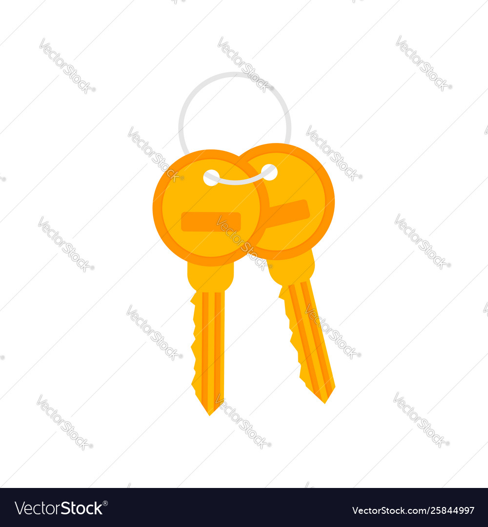 Bunch keys icon on white background