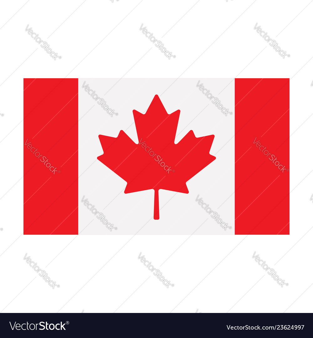 Canadian flag isolated on white background