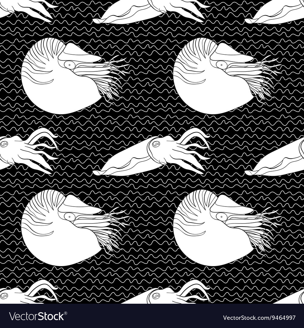 Detailed seamless pattern with mollusks