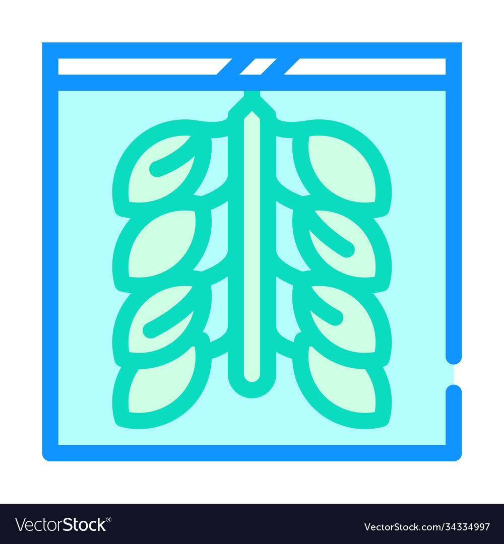 oyster-farming-color-icon-flat-royalty-free-vector-image