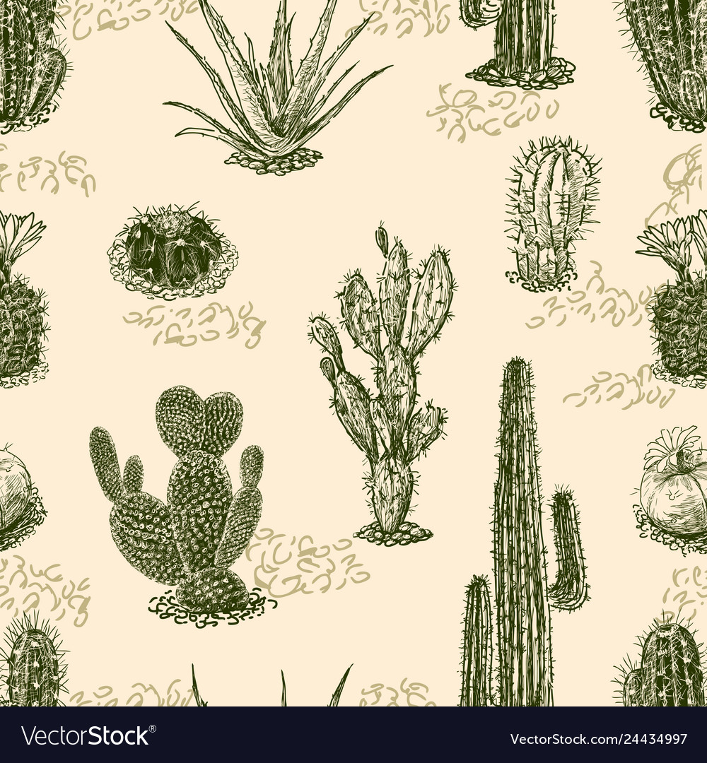 Pattern of the cactuses