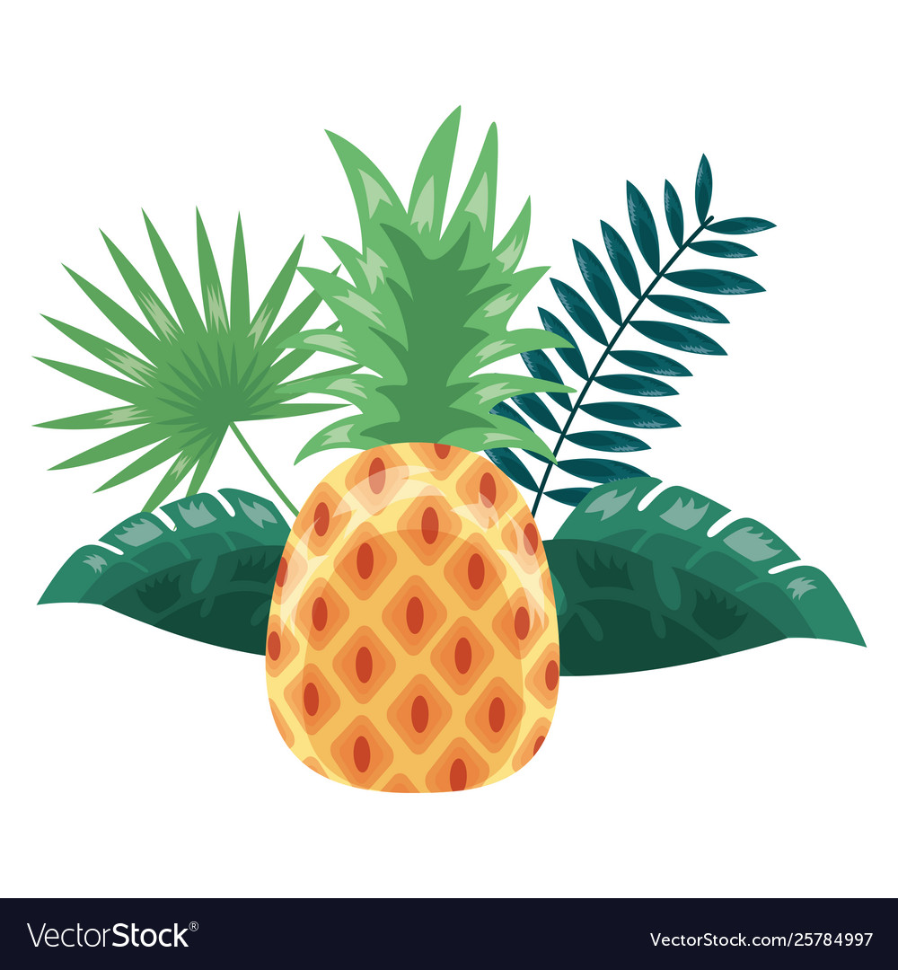 Ananas tropische Früchte Blatt exotisch