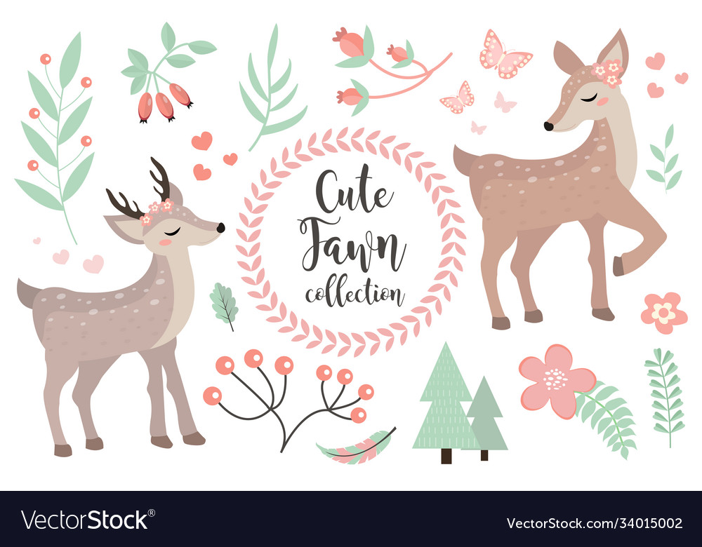 Cute fawn character set objects collection