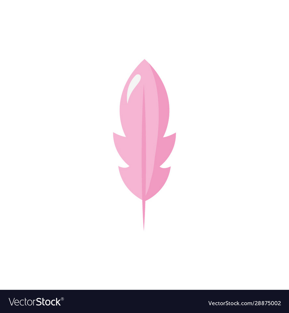 Feather bird decorative isolated icon