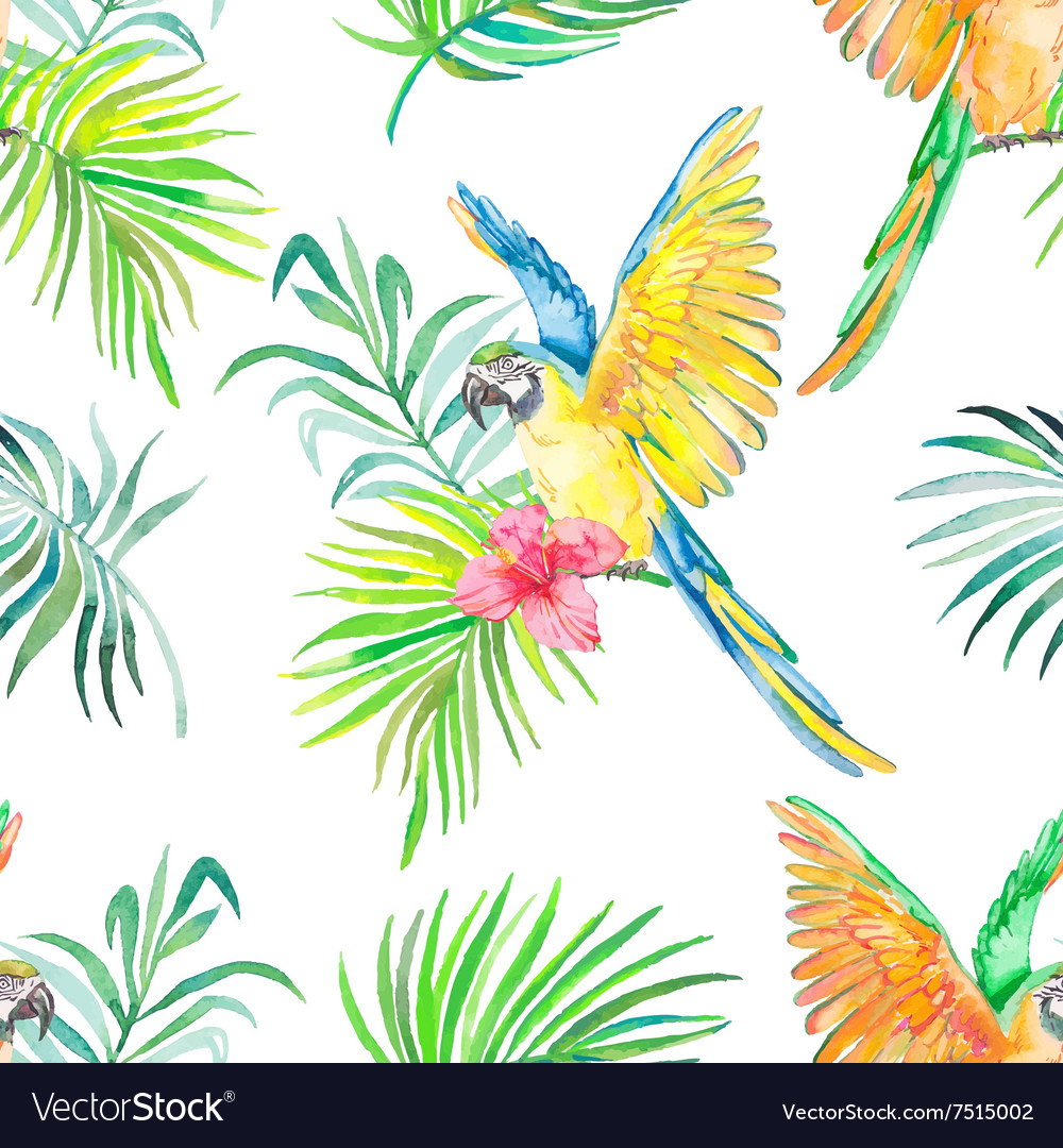 Macaw seamless pattern transparent background