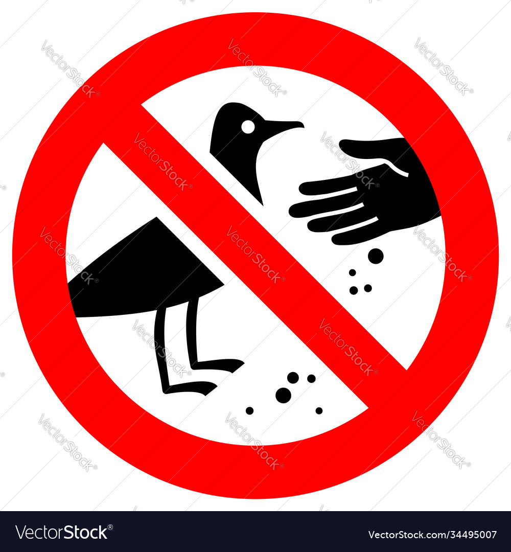 запрет птиц. запрет на птиц. запрещающие знаки про птиц. запрет ворон. табличка кормить животных запрещено.