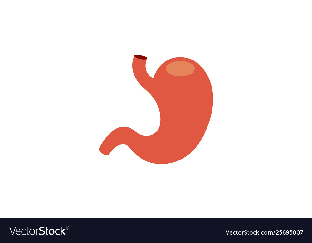 Stomach human internal organ logo